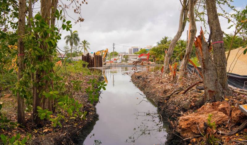 Cano - Martin - Pena