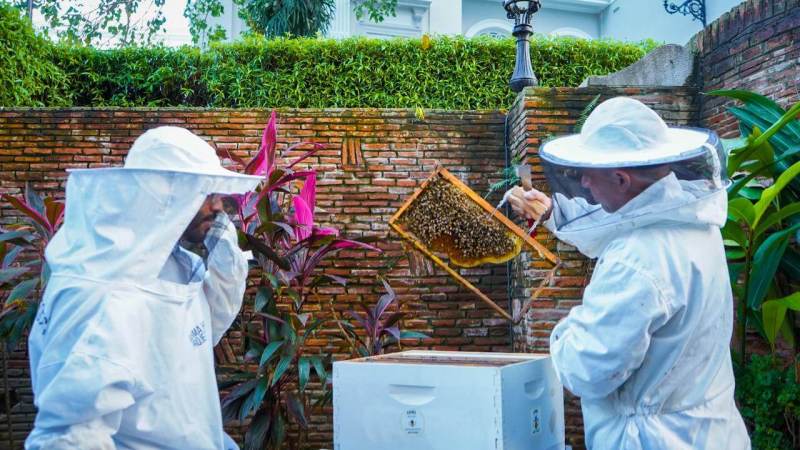 Puerto Rico-Law 22-Canadian Criminal