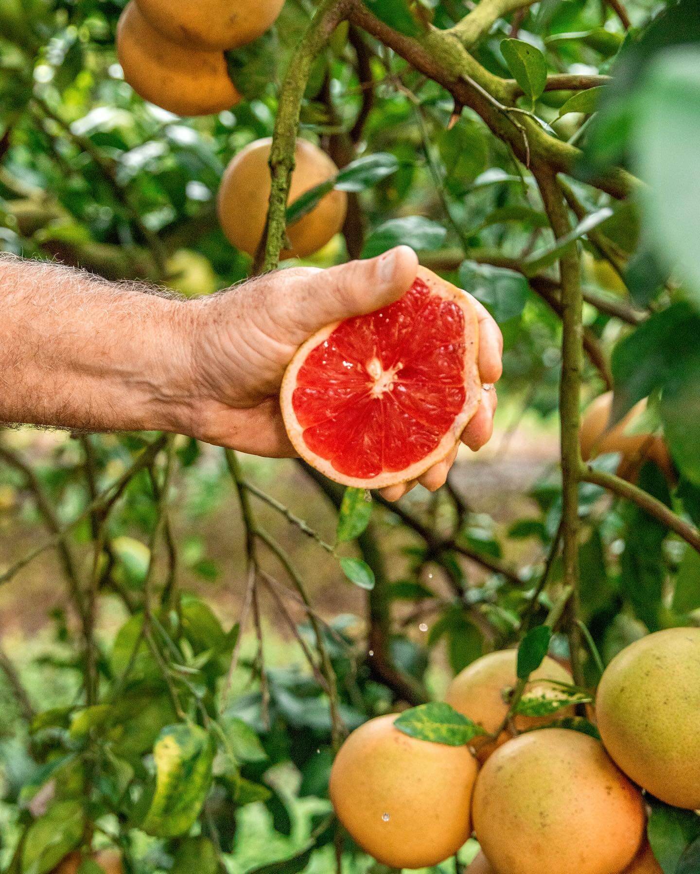 Cheap Florida Winter Trip Ideas for The Holidays