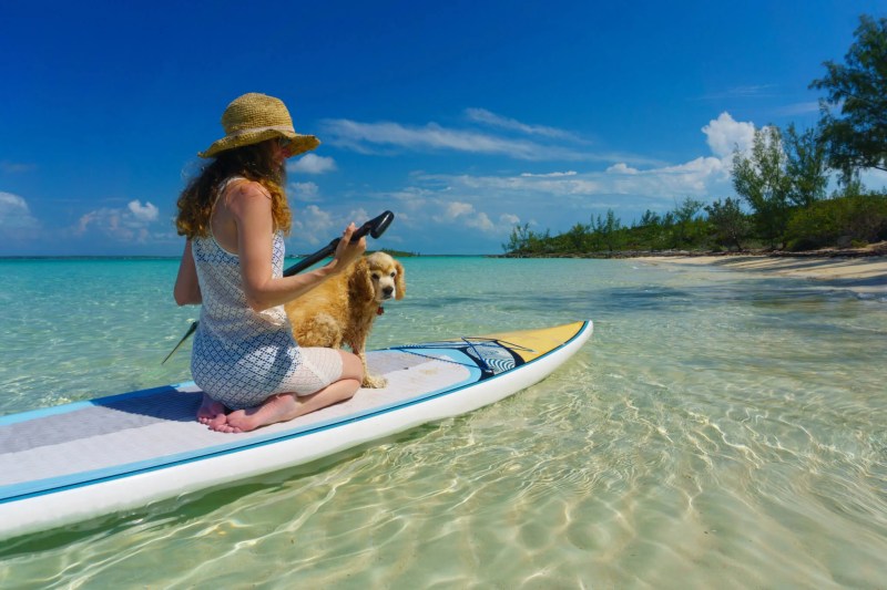 Traveling With Your Pup? Here Are 8 Dog-Friendly Attractions to Check Out.