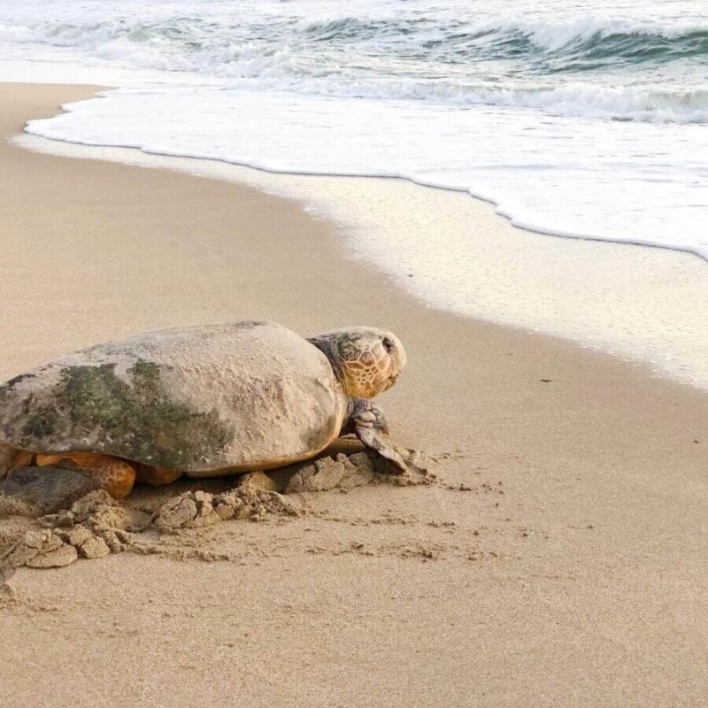 4 Things You Didn’t Know Were Invented in Florida