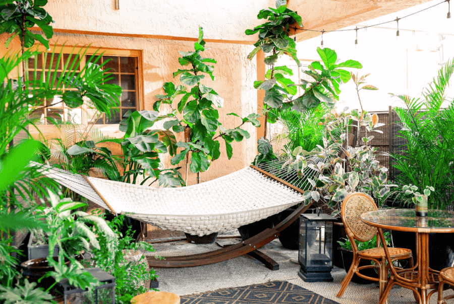 Miami On A Shoestring Budget