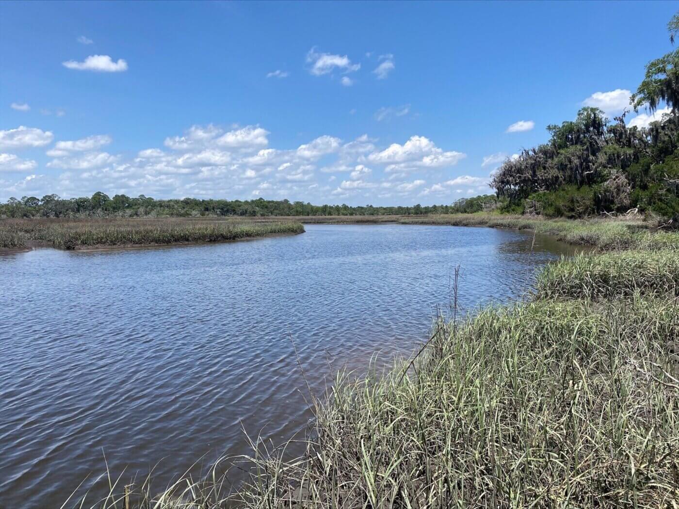 Florida's Best National Parks 
