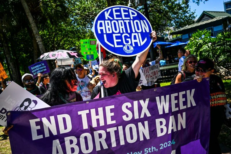 Florida abortion ban