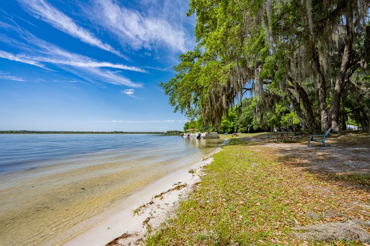 Aerial drone view of Lake Kerr in Salt Springs, Florida.